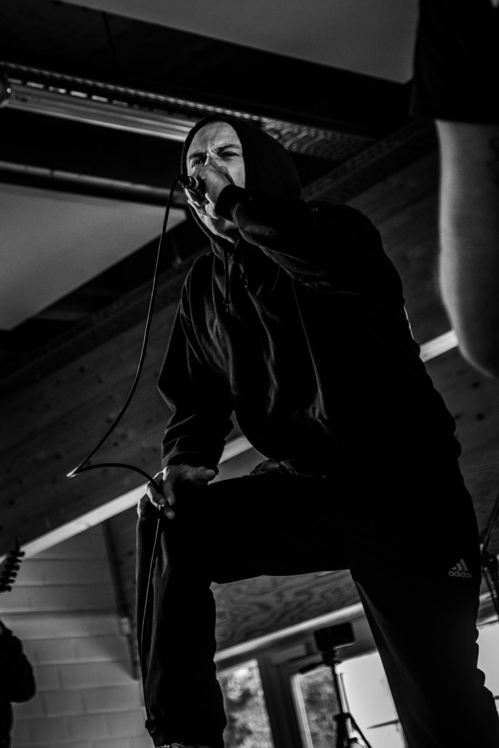 LHC FEST III : END OF SUMMER
