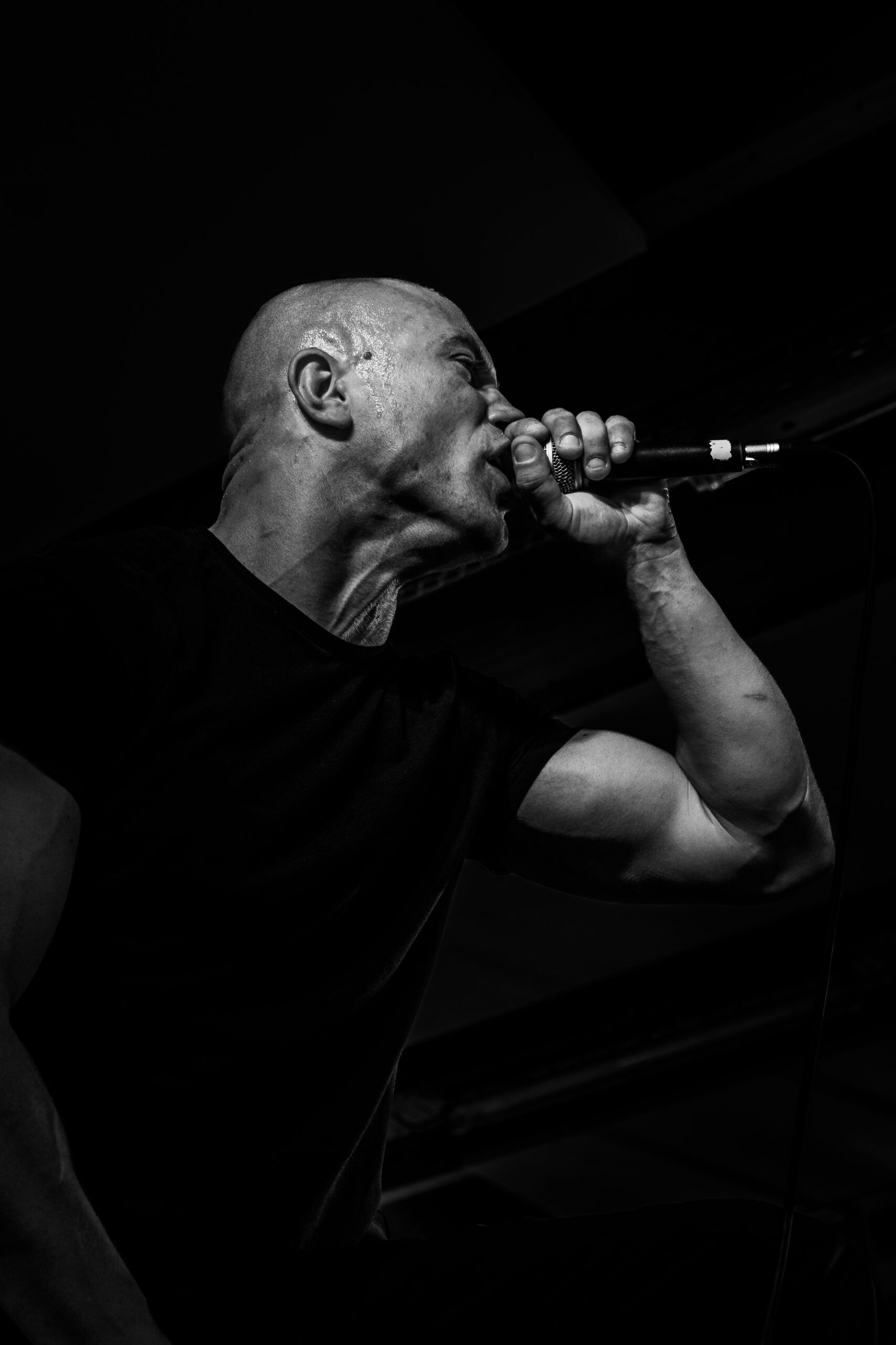 LHC FEST III : END OF SUMMER