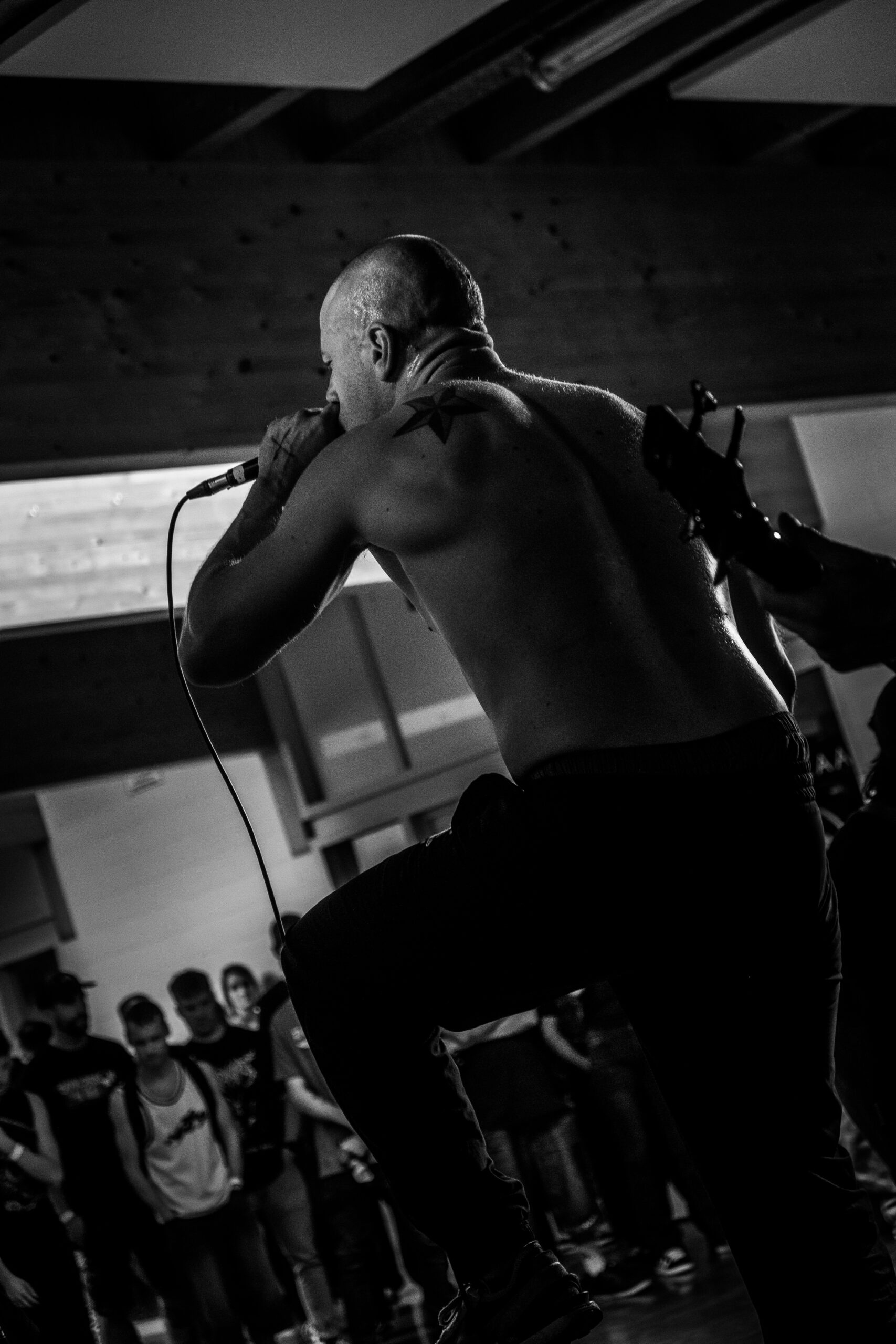 LHC FEST III : END OF SUMMER