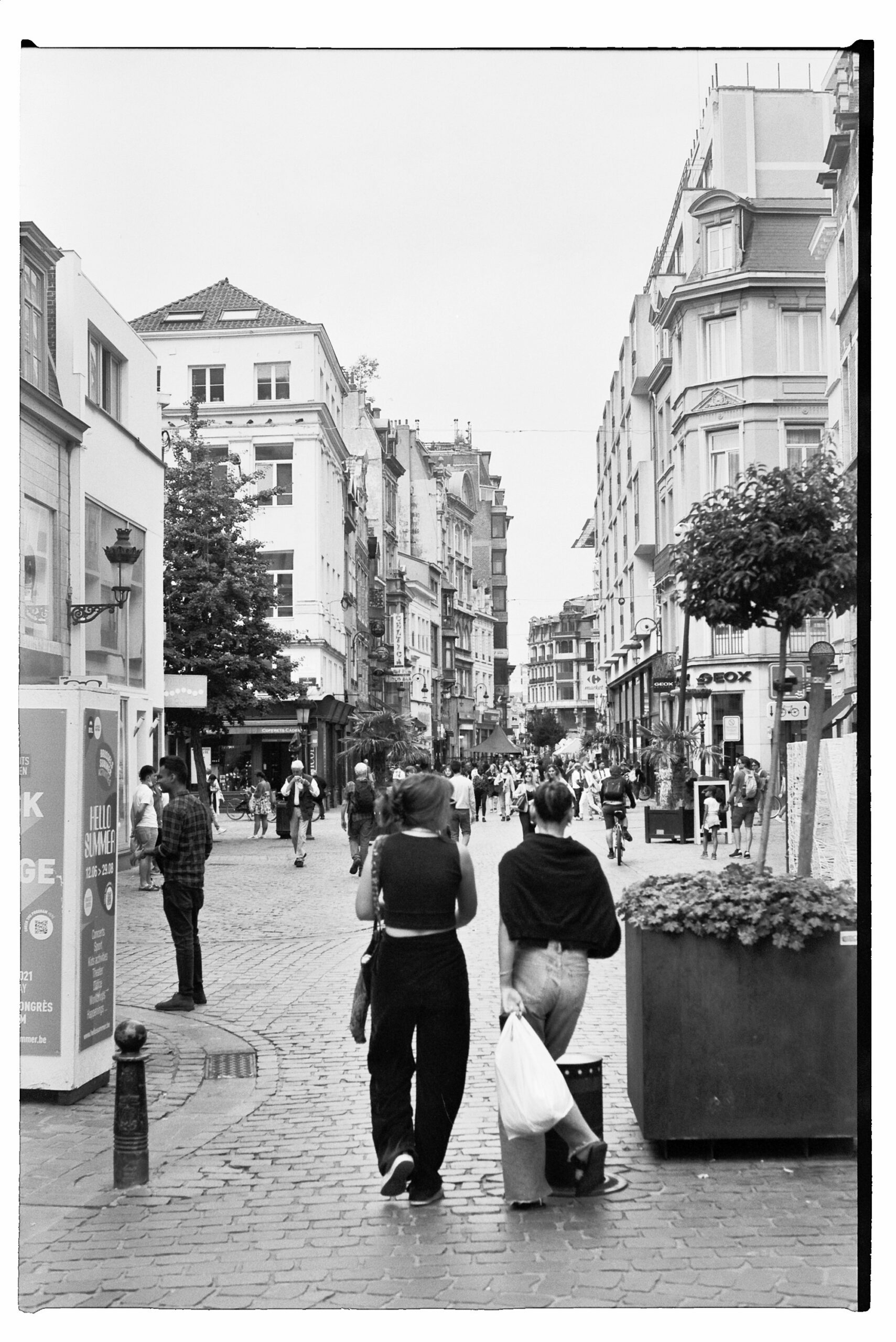 BXL on film