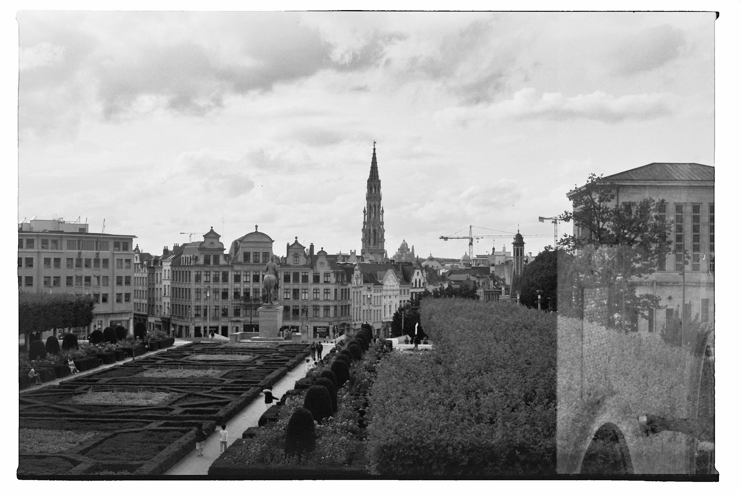BXL on film